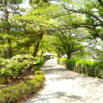 綾瀬市で食洗機交換なら低料金で信頼と実績のある専門業者を選ぼう