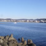 逗子市で食洗機の交換や導入を検討している方に役立つ情報まとめ