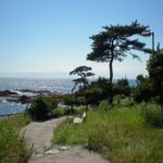 葉山町で食洗機の交換のことでお悩みならランキングを参考に！